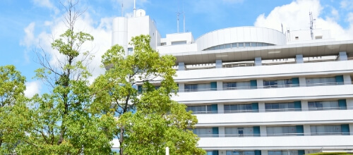 写真:診察風景